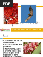 Powerpoint nr. 2 - Interacções seres vivos -Factores do Ambiente - Luz