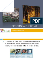 Powerpoint Nr. 1 - Fluxo de Energia e Ciclo Da Matéria - Cadeias Alimentares