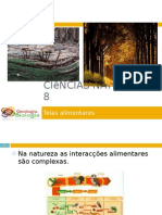 Powerpoint nr. 1 - Fluxo de energia e ciclo da matéria - teias alimentares