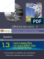 Powerpoint nr. 1 - Efeitos da Catástrofes Naturais