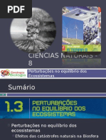 Powerpoint nr. 1 - Efeitos da Catástrofes Naturais