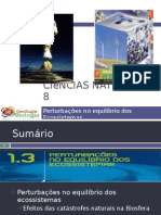 Powerpoint nr. 1 - Efeitos da Catástrofes Naturais (Intervenção humana)