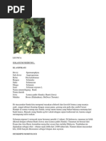 Download Deskripsi Tumbuhan by gita_haryono SN137569189 doc pdf