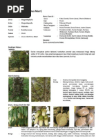 Download 47417872-kea-durian-durio-zibethinus-murrpdf by dwi_6188 SN137569868 doc pdf