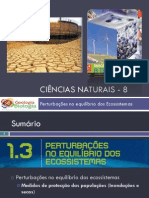 Powerpoint nr. 2 - Efeitos da Catástrofes Naturais (Medidas de protecção das Populações)