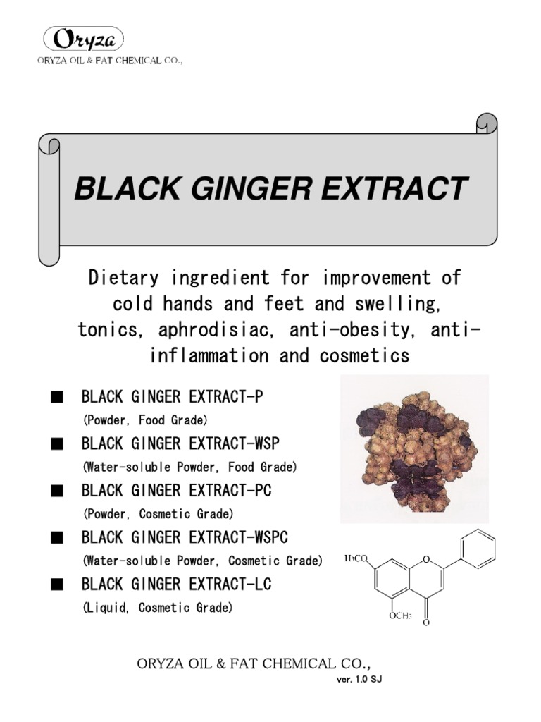 Ginger_Black Ginger Extract_e Ver.1.02 Nitric Oxide Earth & Life