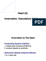 Heart (2) : Innervation, Vasculature & Valves