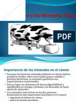 Nutrición y Minerales Trazas