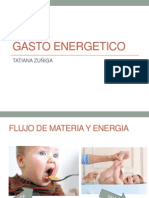 Gasto Energetico PDF