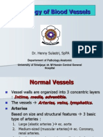 Pathology of Blood Vessels