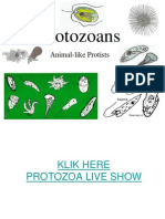 Aver1 Protozoa3Sept2012