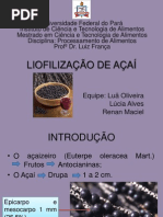Liofilização de açaí