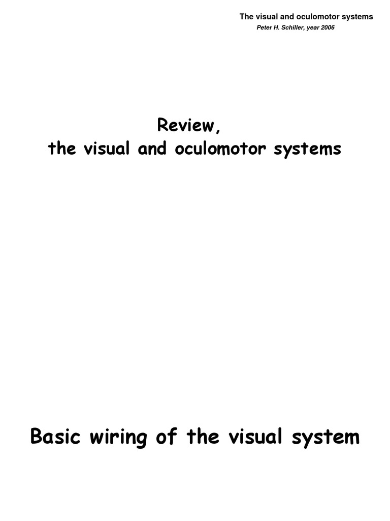 Visual and Oculomotor Systems Overview | PDF | Visual Cortex | Visual ...