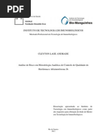 DISSERTAÇÃO MPTI DEFINITIVA - Cleyton Lage