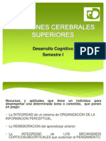 Funciones Cerebrales Superiores