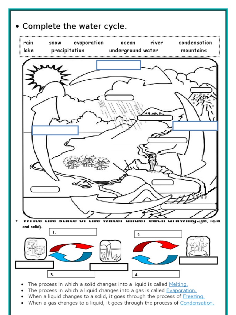 The Water Cycle | PDF