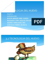 Tecnologia Del Huevo Expo