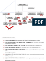 Oym Organigrama