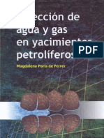 Inyeccion de Agua y Gas en Yacimientos Petroliferos Magdalena Ferrer
