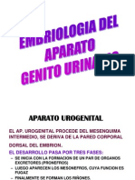 AP. Genito Urinario