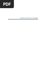 Brava 6.2 UserGuide