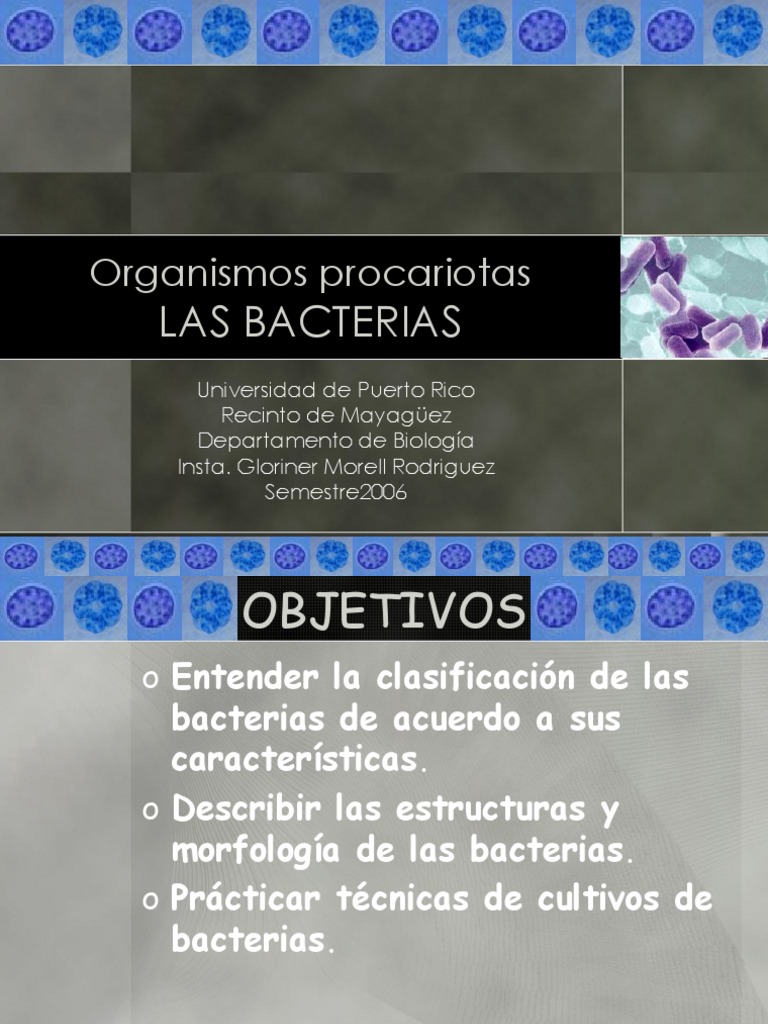 Clasificación y Estructura de Bacterias | PDF | Las bacterias ...