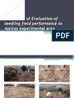 Photo Data of Evaluation of Seedling Field Performance Assiros Experimental Area