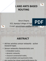 Ants and Ants Based Routing