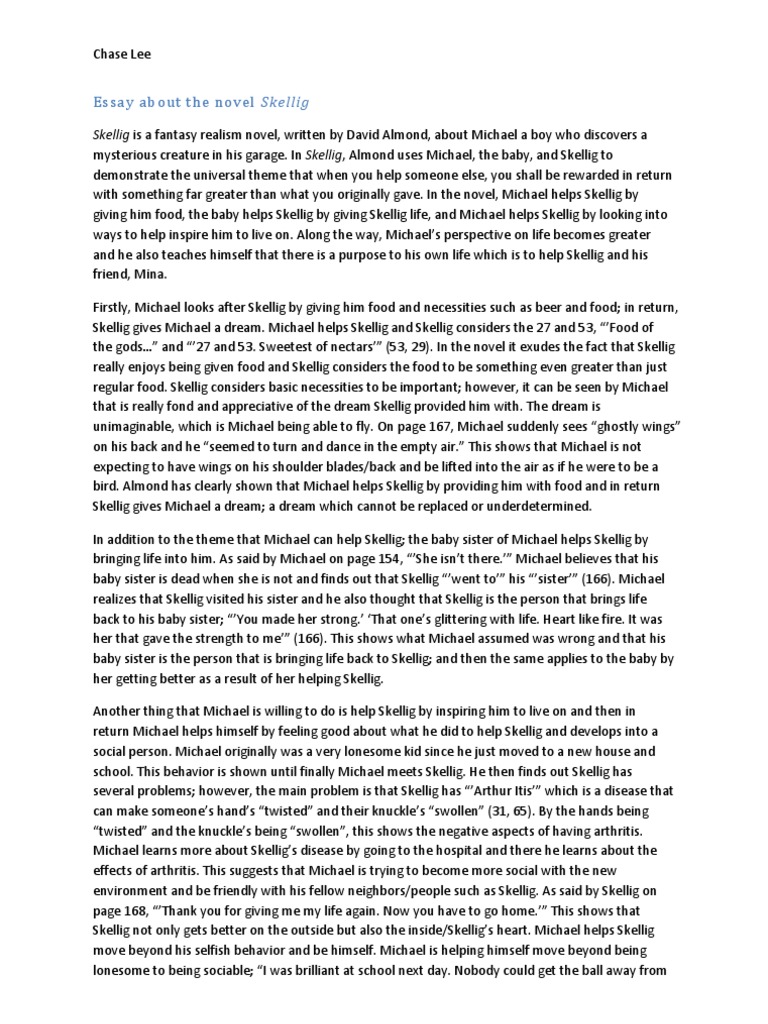 Skellig essay questions image