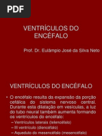 VENTRÍCULOS DO ENCÉFALO
