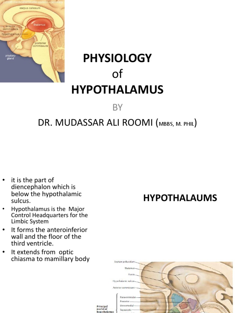 Physiology of Hypothalamus by Dr. Mudassar Ali Roomi | PDF