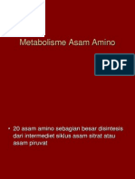 3. Metabolisme Asam Amino