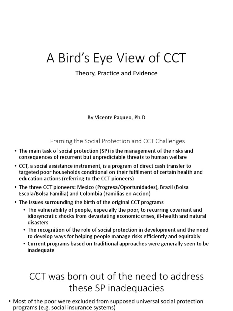 SSLCCT A Bird's Eye View of CCT Theory, Practice, and Evidence