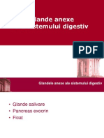 109265868-LP-07-Anexe-Digestiv