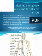 El Sistema Energético Humano