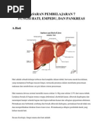 Download Sp 7 - Fungsi Hati Empedu Dan Pankreas by Raymon Liangan SN137726384 doc pdf