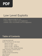 Low Level Exploits