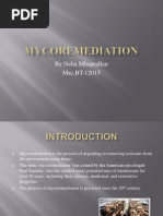 Download mycoremediationppt by Neha Mhapralkar SN137731542 doc pdf