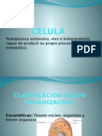 CELULA