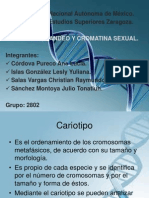 Cariotipo Bandeo y Cromatina Sexual