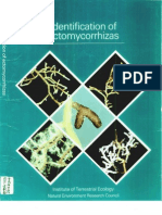 Ectomycorrhiza.pdf
