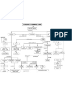 Concept Map - Transport in Flowering Plants