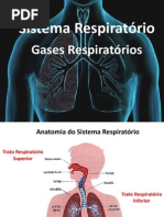 Aula 01_ Gases Respiratórios.pdf