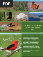 Download State of the Birds - American Birds Sending Troubling Message About The Environment by Aanosh Doctor SN13779245 doc pdf