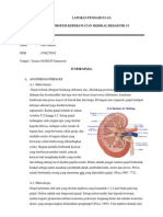 LP Tumor Ginjal