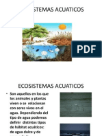 Ecosistemas Acuaticos