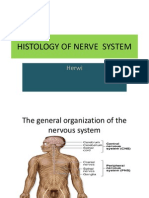 Histology of Nerve System