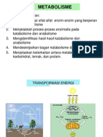 Metabolisme 2