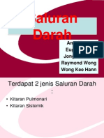 Saluran Darah