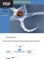 Tecido Nervoso